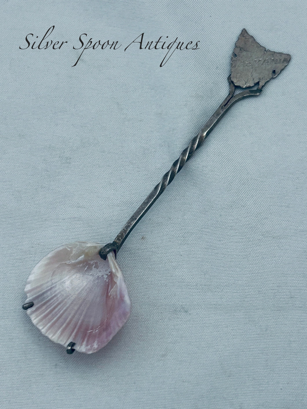 Tasmanian sterling and Trigonia shell spoon, W GOLDING, Hobart, c.1900