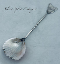 Load image into Gallery viewer, Tasmanian sterling and Trigonia shell spoon, FA Flint, Hobart, c.1900-1920