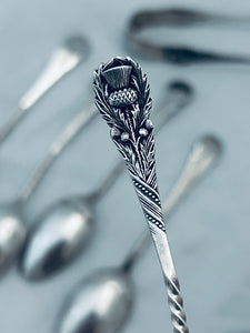 Set of Sterling thistle-themed teaspoons & tongs, J Gloucester, Birmingham, 1895